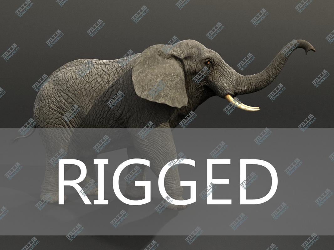 images/goods_img/2021040232/Elephant Rigged/1.jpg
